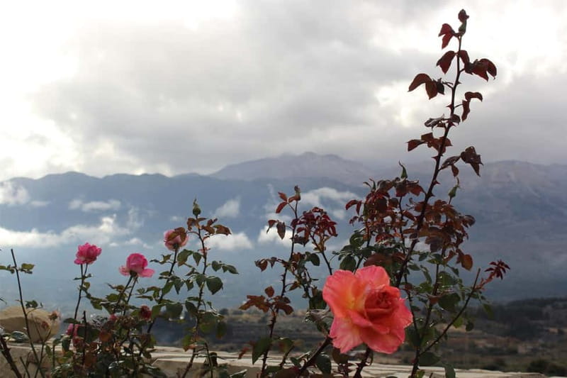 Chania: Private Sunset Sightseeing Tour with Historian Guide - Discover the Charm of Crete with a Private Sunset Tour in Chania