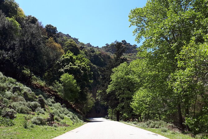 Chania Private Tour: Monastery, Scenic Gorge & Mountain Views - Exploring the Historic Village of Therisso