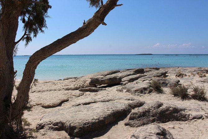 Chania Private Tour To Elafonissi and Falasarna - Practical Details and Considerations