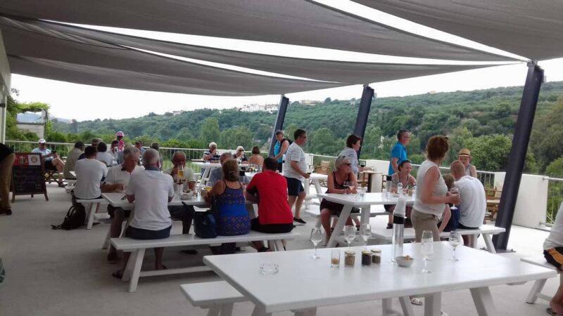 Chania: Pure Cretan Olive Oil, Honey & Beer Experience - Frequently Asked Questions