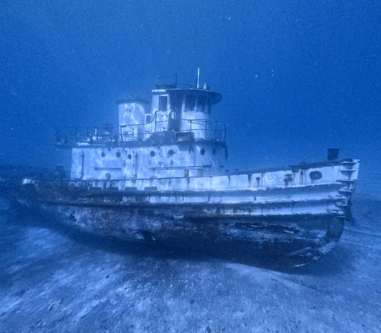 Chania Scuba Diving | Boat Dives | Certified Divers - The Sum Up: A Solid Choice for Certified Divers in Crete