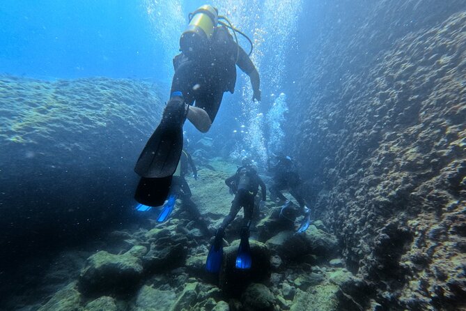 Chania Scuba Diving | Fun Dives | Certified Divers - Discover the Best of Cretes Underwater World with Chania Scuba Diving