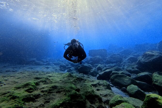 Chania Scuba Diving | Fun Dives | Certified Divers - Why Cretes Marine Environment Excels for Certified Divers