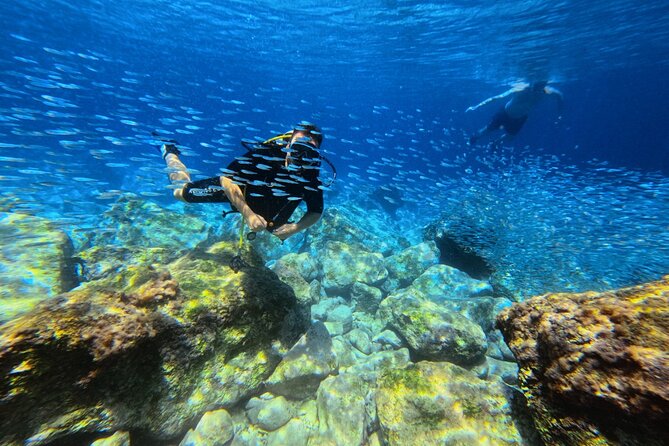 Chania Scuba Diving | Fun Dives | Certified Divers - Price Comparison and Booking Tips