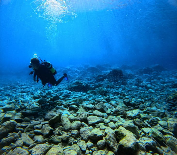 Chania Scuba Diving | Fun Dives | Certified Divers - Booking Flexibility and Cancellation Policy