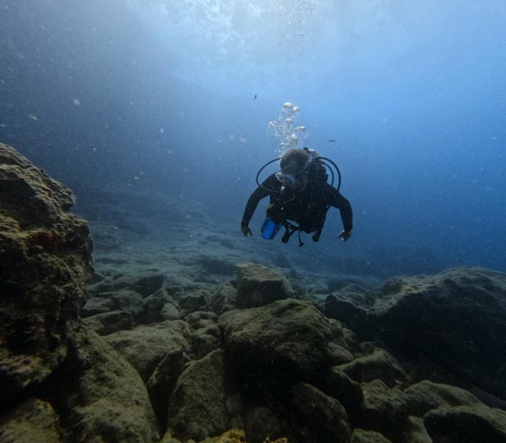 Chania Scuba Diving | Fun Dives | Certified Divers - Suitability and Considerations for This Tour