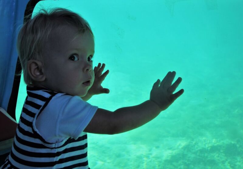 Chania: Semi-Submarine Boat Underwater Experience - The Semi-Submersible Design Provides Safe Marine Exploration