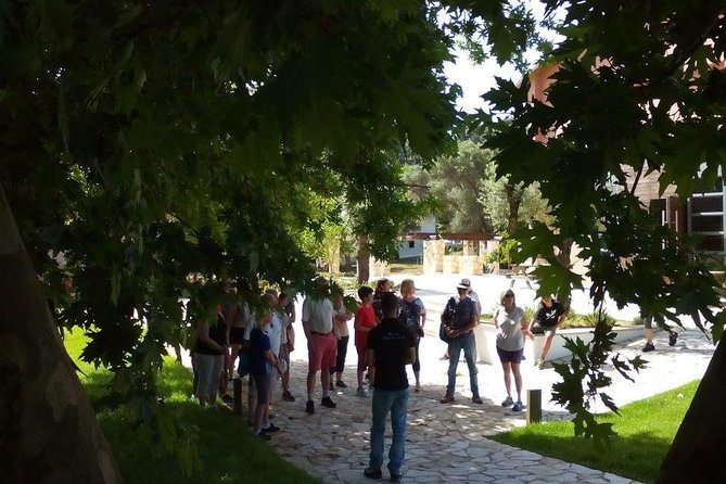 Chania Shore Excursion Off Road Vineyard and Winery Tour Half Day - Authentic Cretan Food and Wine Experience