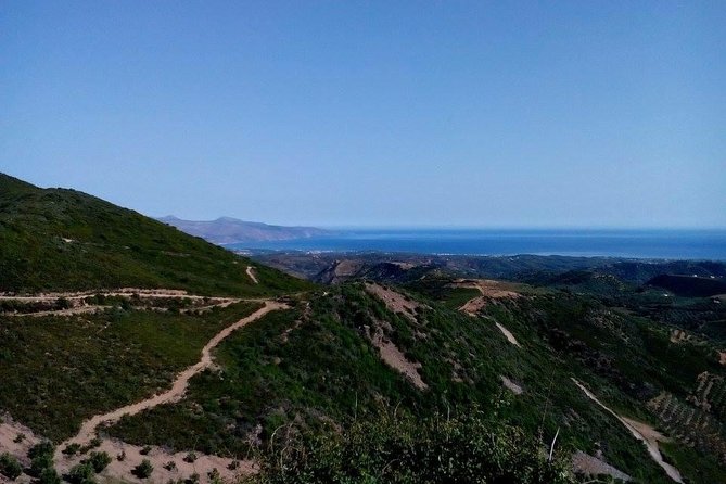 Chania Shore Excursion Off Road Vineyard and Winery Tour Half Day - Logistics: Pickup, Duration, and Group Size