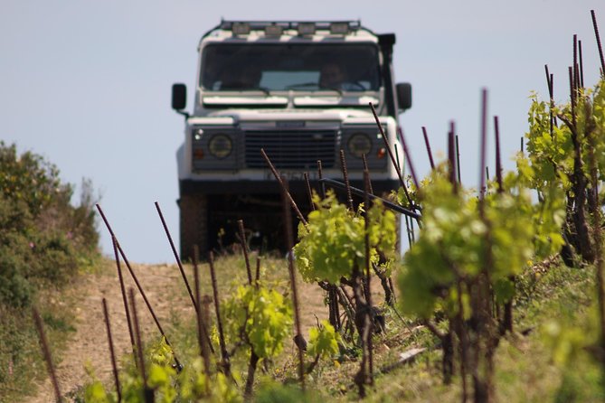 Chania Shore Excursion Off Road Vineyard and Winery Tour Half Day - Pricing, Cancellation, and Booking Details