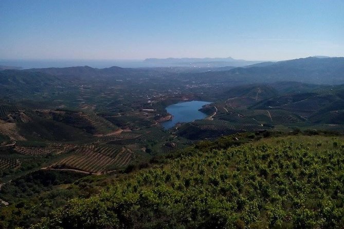 Chania Shore Excursion Off Road Vineyard and Winery Tour Half Day - Why This Tour Stands Out in Crete