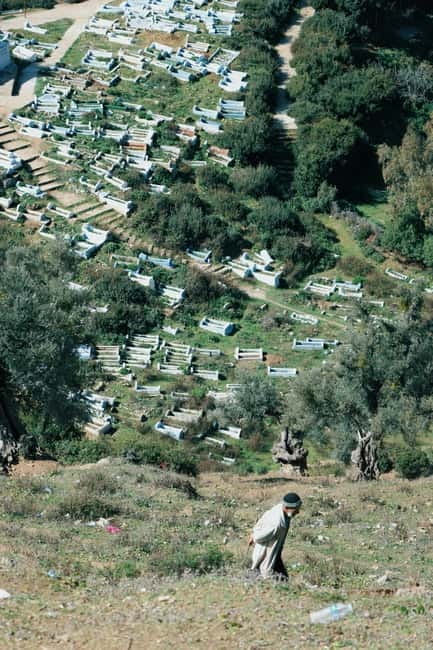 Chania: Shore Excursion to Agia Triada Monastery & Chania - Key Points