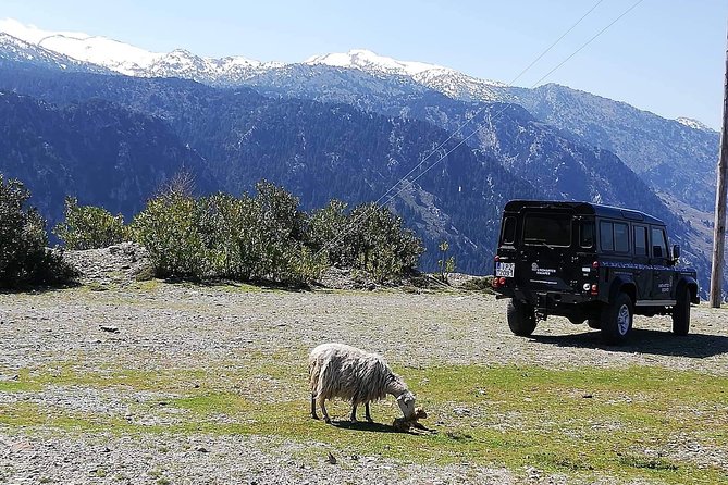 Chania Shore Excursion to the White Mountains - Pick-up and Transport: Seamless Logistics from Chania and Souda
