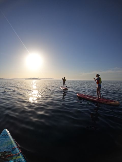 Chania: Stand-up Paddleboard Coastal Sunset Experience - Scenic Route Along the Chania Coastline
