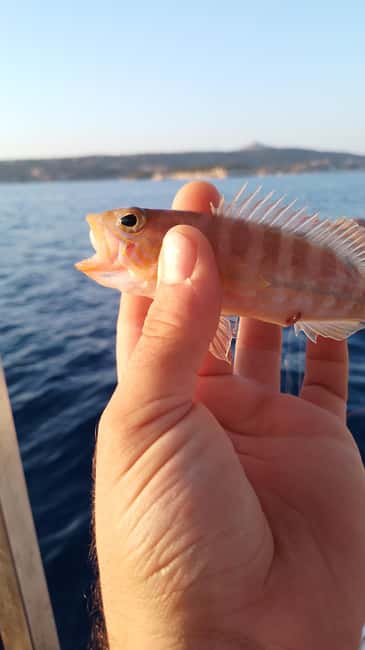 Chania: Sunset Fishing Trip with Local Captain - Discover the Authentic Cretan Fishing Experience with a Local Captain
