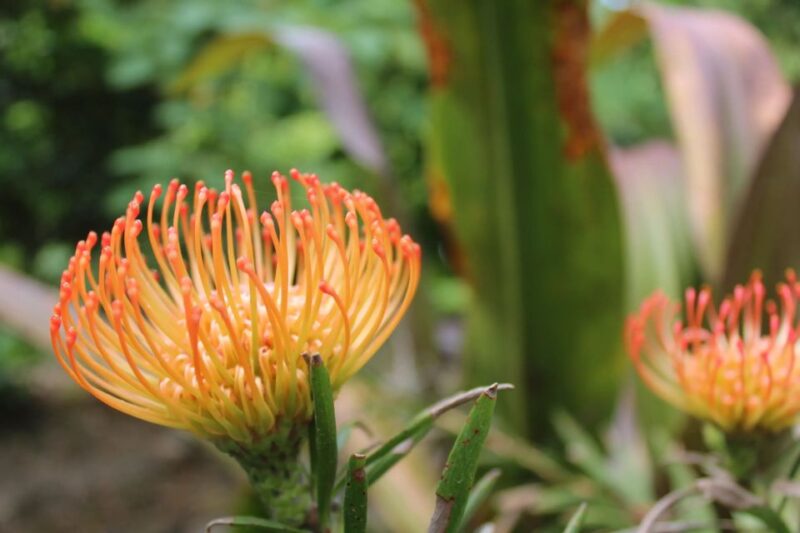 Chania to the Lakes of Crete: Private tour to Aqua Paradise - Key Points