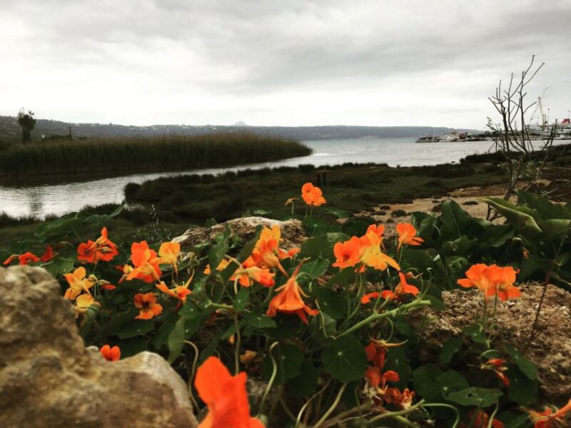 Chania to the Lakes of Crete: Private tour to Aqua Paradise - Scenic Stops and Elevated Viewpoints for Photos