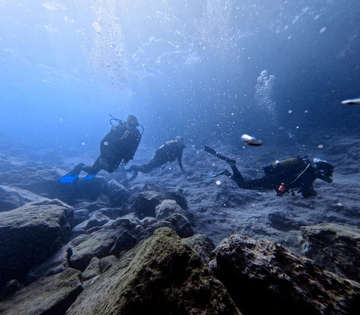 Chania | Try Scuba Diving | Private Introduction Dive - Starting Point at the Friendly Dive Centre in Almyrida