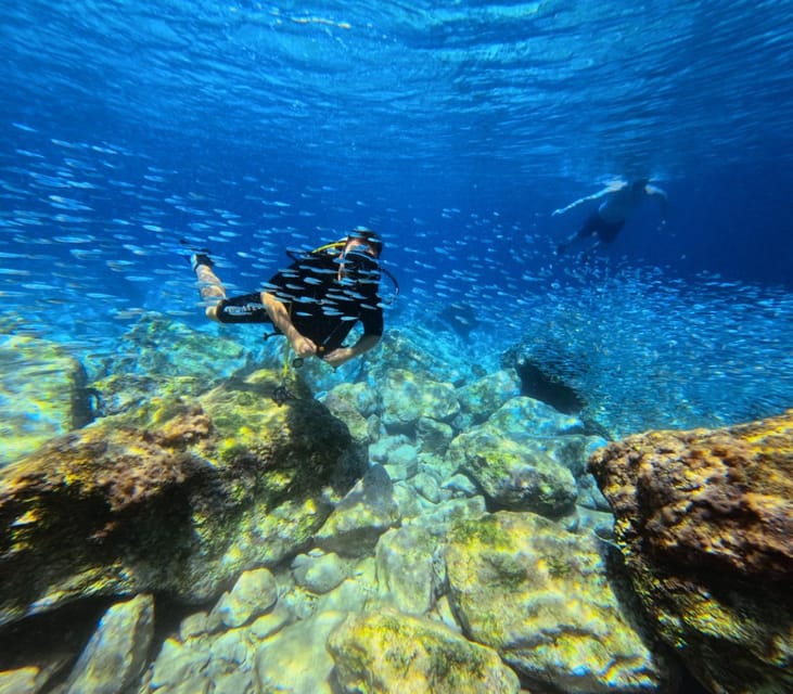 Chania | Try Scuba Diving | Private Introduction Dive - What to Prepare and Consider