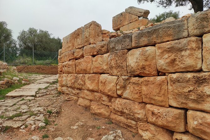 Chania Villages and Aptera Site Private Guided Tour - Panoramic Views from Malaxa Village