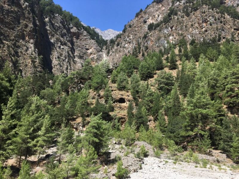 Chania White Mountains Private Tour: From Sea to Summit - Visiting the War Resistance Museum in the White Mountains