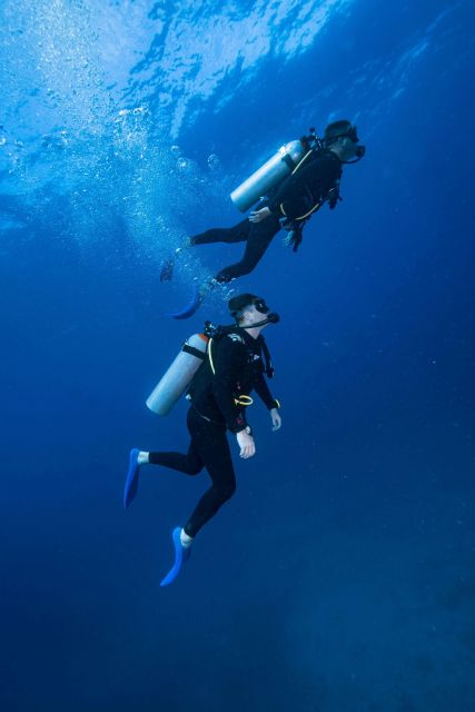 Chania:Try Scuba Diving 2shore dives(Receive Certification) - Starting Point at the Dive Center in Kalyves