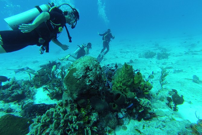 Chankanaab Cozumel Scuba Diving - Key Points