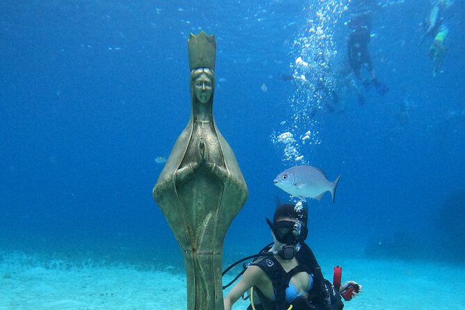 Chankanaab Park Admission +Snorkeling + Lunch included - Snorkeling at the Second Largest Reef Barrier