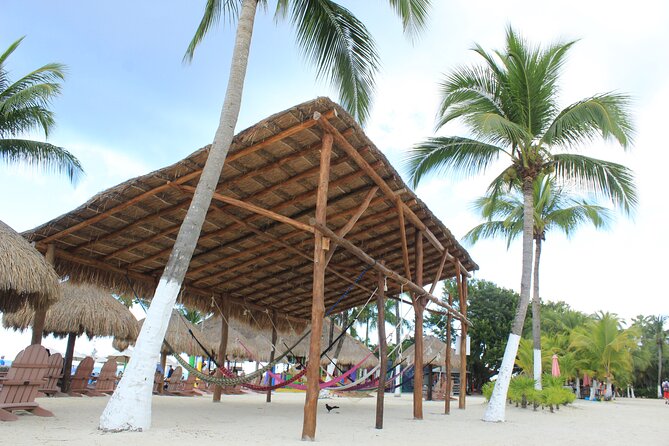 Chankanaab Park Admission +Snorkeling + Lunch included - Lunch and Refreshments: A La Carte Offerings