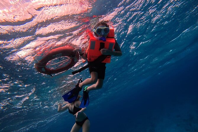 Chankanaab Park entrance ticket with snorkeling and buffet included - Discover the Rich Marine Life and Cultural Attractions at Chankanaab Park in Cozumel