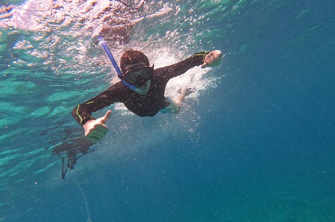 Chankanaab Park entrance ticket with snorkeling and buffet included - Key Points