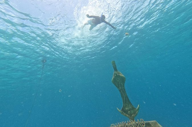 Chankanaab Park entrance ticket with snorkeling and buffet included - Additional Costs and Park Fee Details