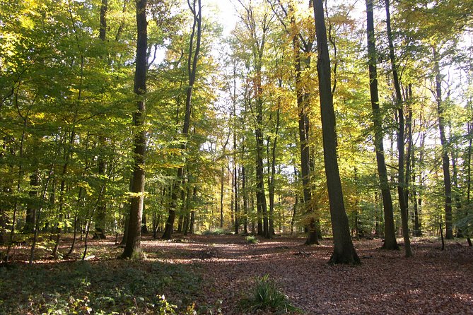 Chantilly by bike or Chantilly with electric bike - Starting at 8 Carr des Lions in Chantilly
