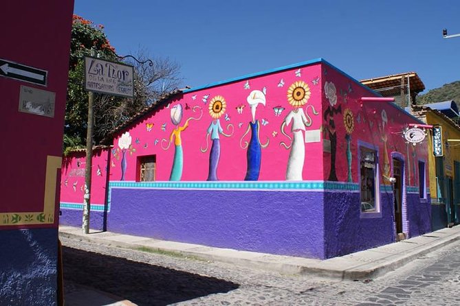 Chapala Lake & Ajijic Tour with "Tres Potrillos Ranch" - Honest Limitations and Considerations