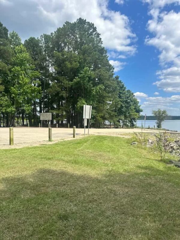 Chapel Hill: Jordan Lake Canoe Rental - Wildlife Spotting and Natural Scenery at Jordan Lake