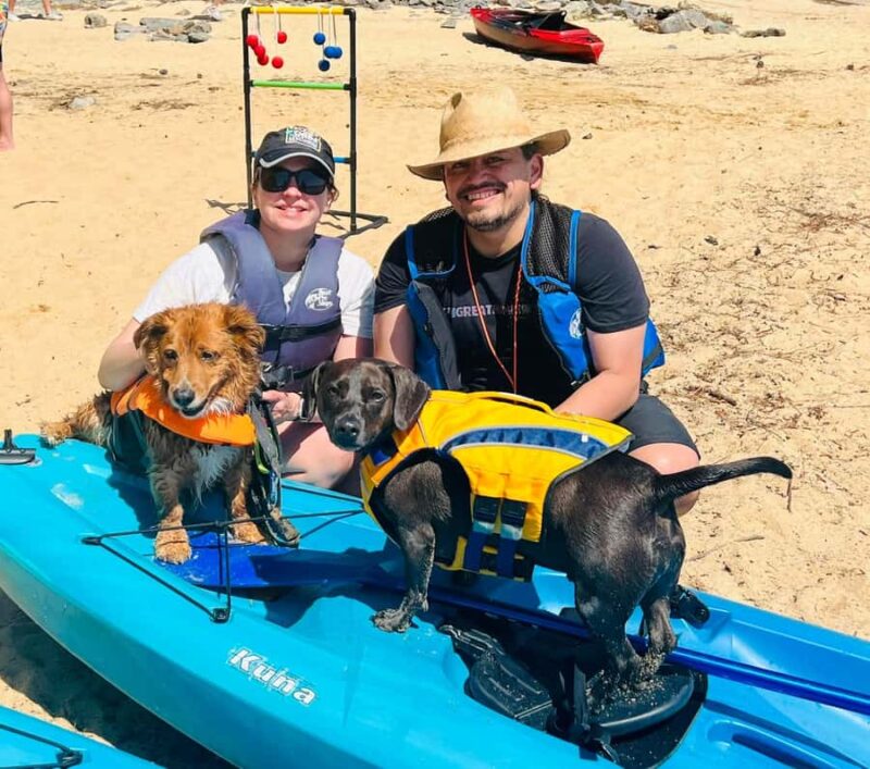 Chapel Hill: Jordan Lake Kayak Rental - The Unique Features of Jordan Lake Kayak Experience