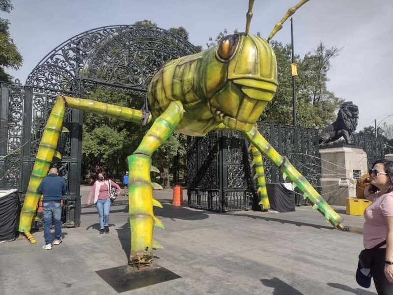 Chapultepec Castle Guided Tour - Exploring the Luxurious Rooms of the Alcázar