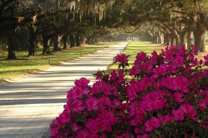 Charleston: Boone Hall & Historic City Tour Combo - Final Thoughts on the Charleston Combo Tour