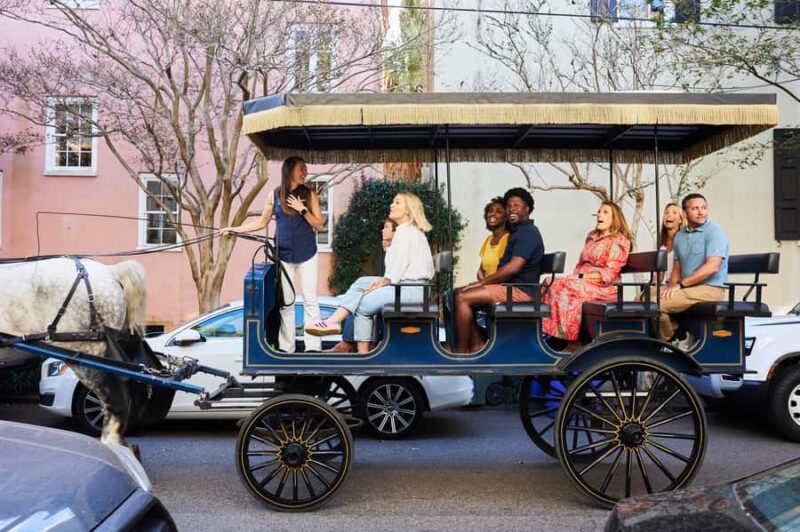 Charleston: Downtown Horse-Drawn Carriage Tour - The Charm of the Horse and Care for the Animals