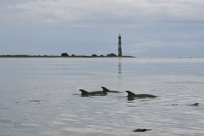 Charleston Eco Boat Cruise with stop at Morris Island Lighthouse - Starting Point and Logistics at Bowens Island