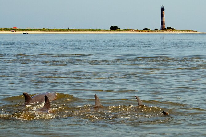 Charleston Eco Boat Cruise with stop at Morris Island Lighthouse - Shell Collecting and Beach Exploration on Morris Island