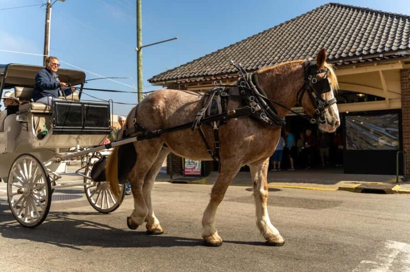 Charleston: Evening Carriage Tour - Starting Point at Anson and Pinckney Streets