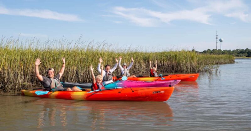 Charleston: Folly Beach Afternoon Kayak Dolphin Safari - Learning the Basics of Kayaking with Professional Guidance