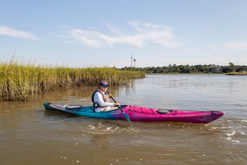 Charleston: Folly Beach Afternoon Kayak Dolphin Safari - Flexible Tour Options for Different Times of Day