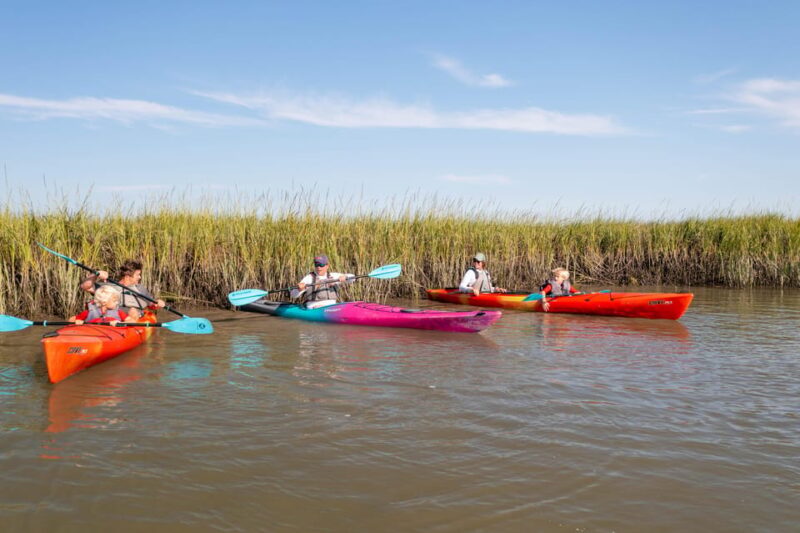 Charleston: Folly Beach Afternoon Kayak Dolphin Safari - What to Bring and What’s Included