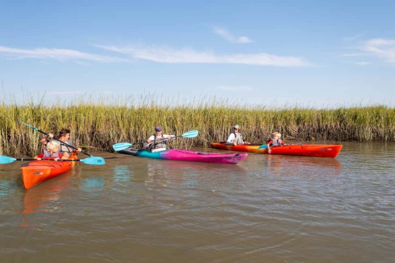 Charleston: Folly Beach Morning Kayak Dolphin Safari - Key Points