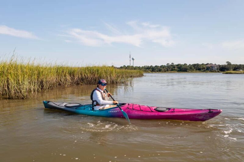 Charleston: Folly River Sunset Kayak Dolphin Safari - Key Points