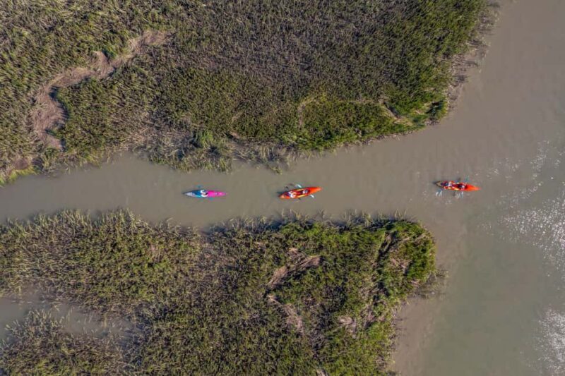 Charleston: Folly River Sunset Kayak Dolphin Safari - Timing and Pacing of the Tour