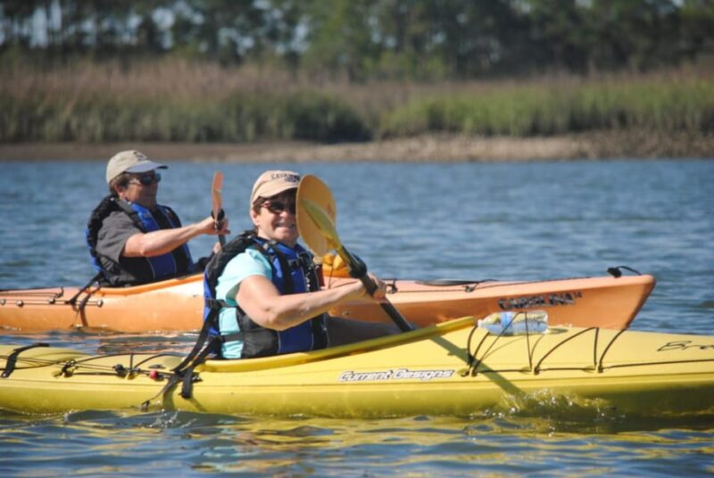 Charleston: Guided 2hr. Kayak Tour with a Tandem or Single - Practical Tips for a Smooth Kayaking Experience