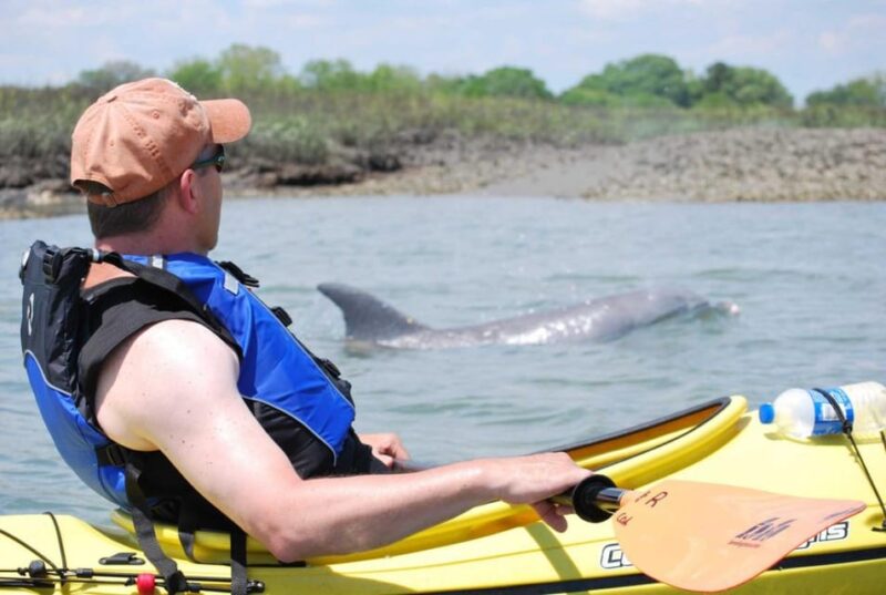 Charleston: Guided 2hr. Kayak Tour with a Tandem or Single - Flexibility and Customer Service with Easy Rescheduling
